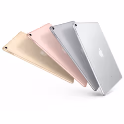Apple iPad Pro 256 Go 26,7 cm (10.5") iOS 10 Gris - Vue supplémentaire 4